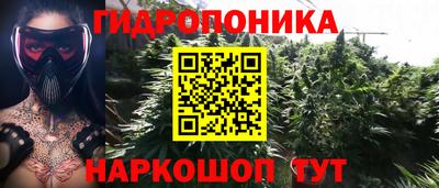 круглые Новозыбков